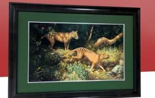 Special frame with silver fillet